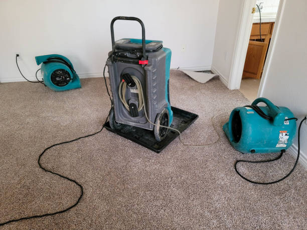 Best Flood restoration services  in Inesville, GA