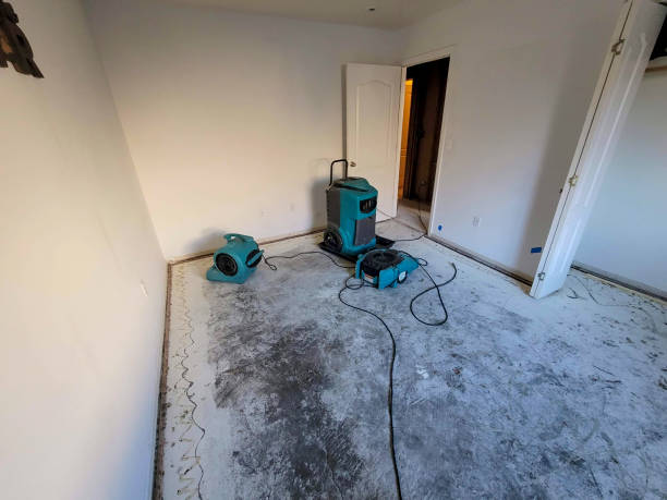 Best Residential water damage restoration  in Inesville, GA