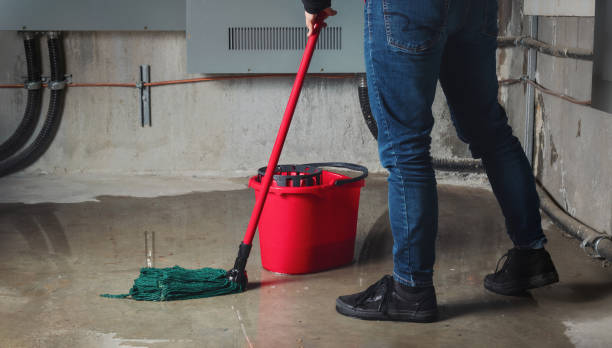 Best Water damage restoration near me  in Inesville, GA