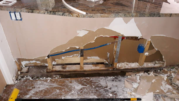 Best Carpet water damage restoration  in Inesville, GA