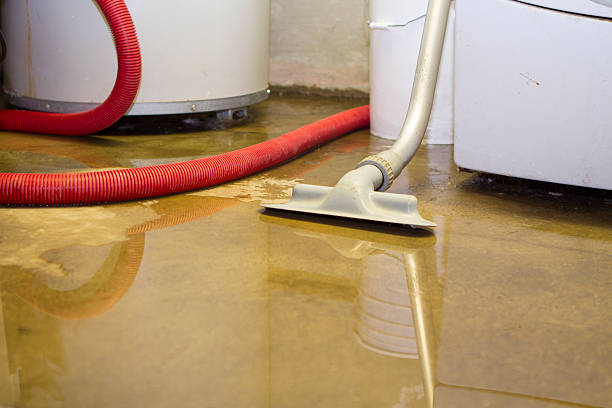 Best Sewage cleanup and water damage restoration  in Inesville, GA
