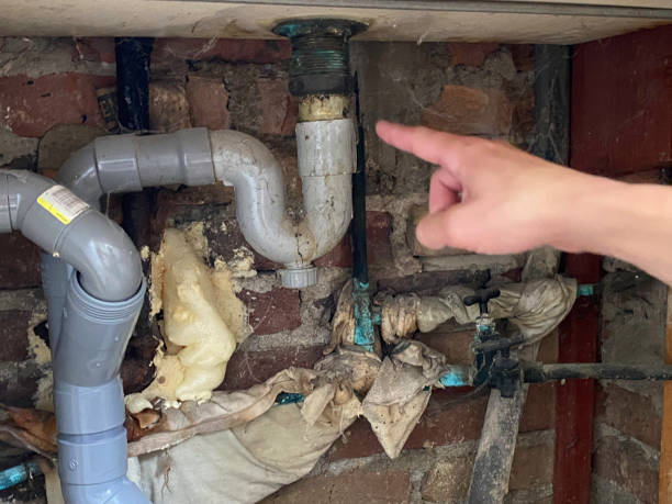 Best 24-hour water damage restoration  in Inesville, GA