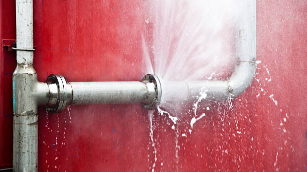 Best Commercial water damage restoration  in Inesville, GA